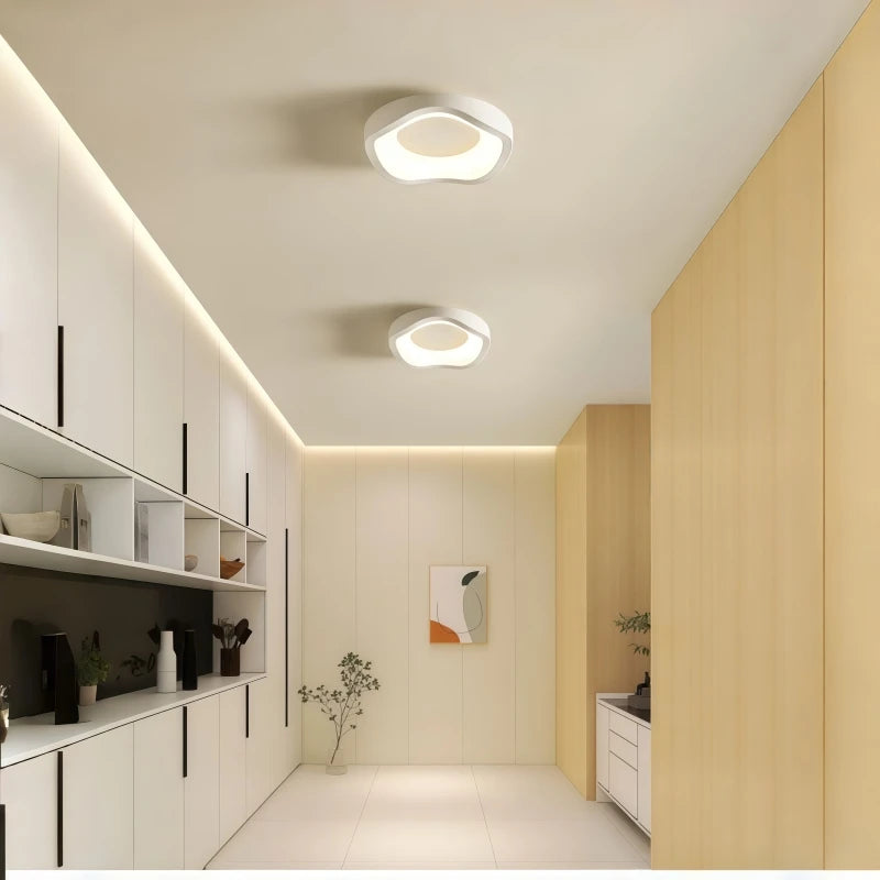 Nordic Art White Creative Ceiling Lamp